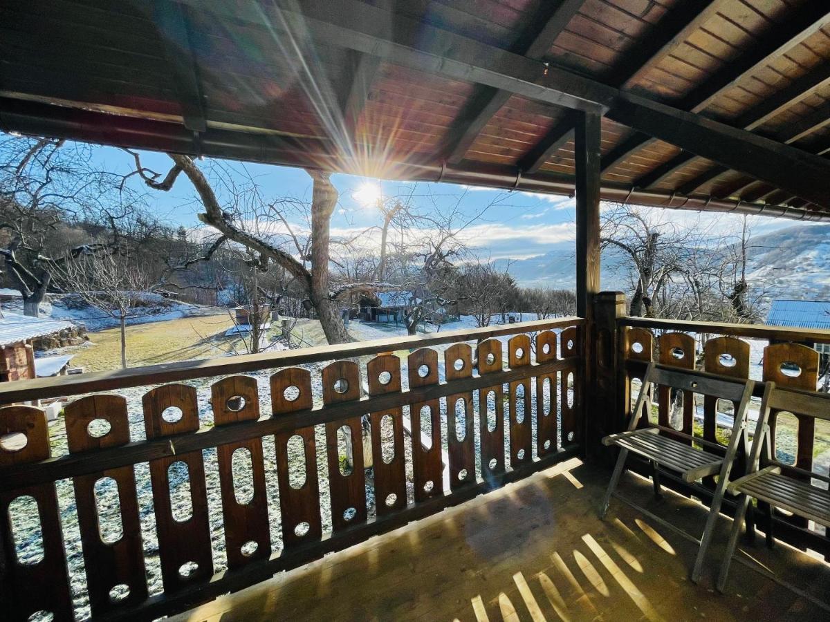 Panoramic Sus In